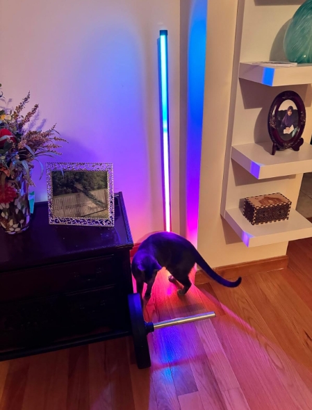 This product is great with vibrant colors . Enhances the vibrance of any room.