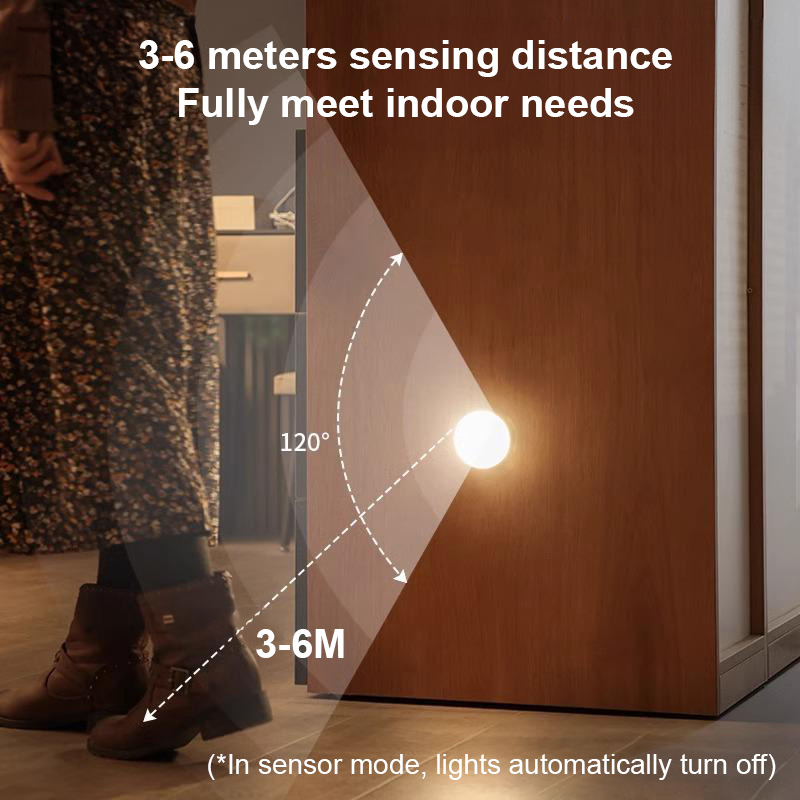 Human body sensor night light
